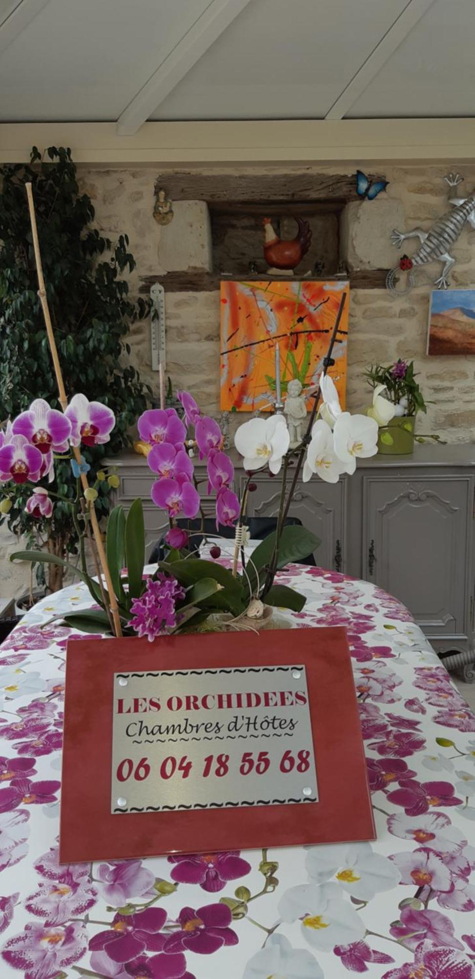 جوانيه - كلان Les Orchidees Chambre Hotes Futuroscope Chasseneuil Poitiers المظهر الخارجي الصورة